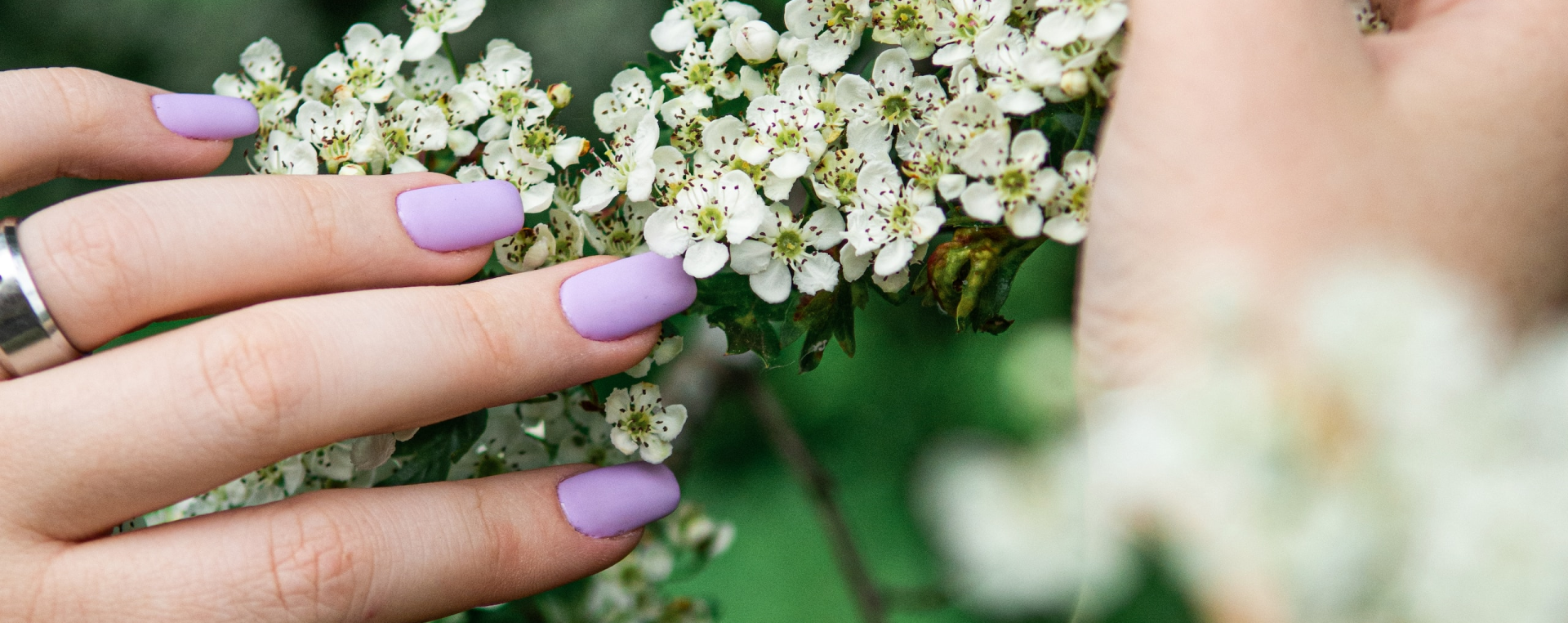 Image alt section default